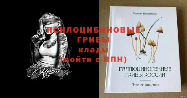 таблы Медногорск