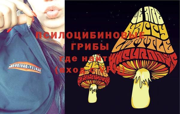 крисы Магадан