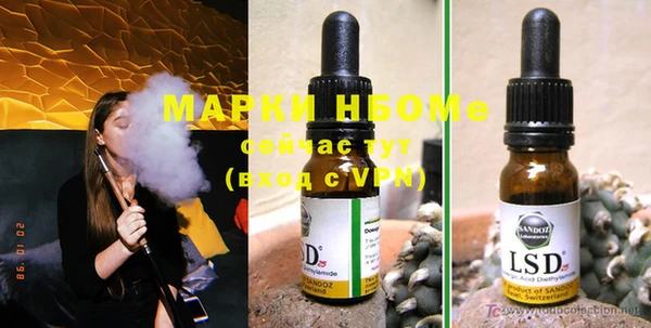 крисы Магадан