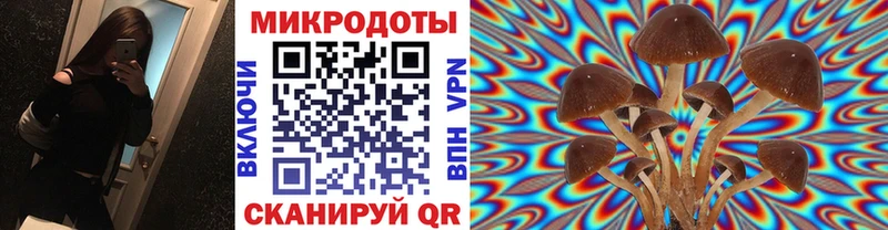 наркотики  Никольск  Галлюциногенные грибы ЛСД 